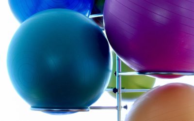 Stability Ball or Exercise Ball Review
