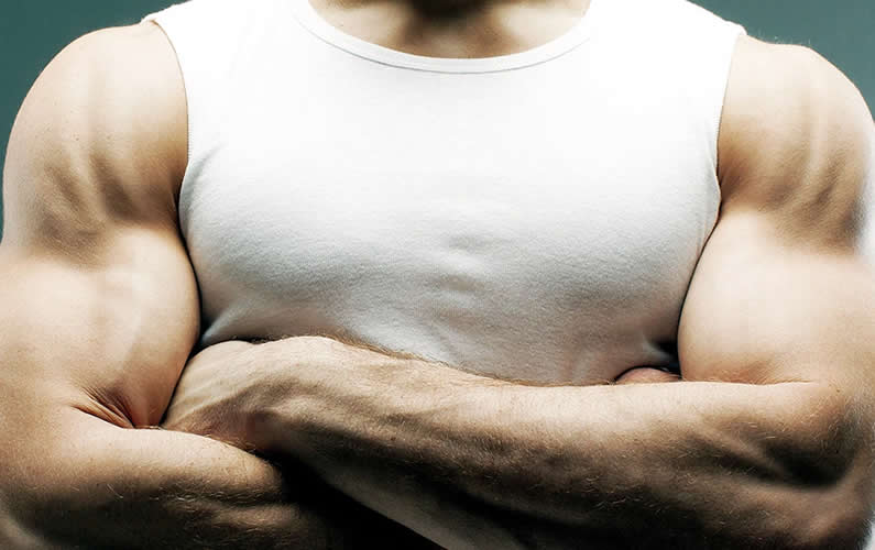 10 Must Haves to Build Muscle Mass